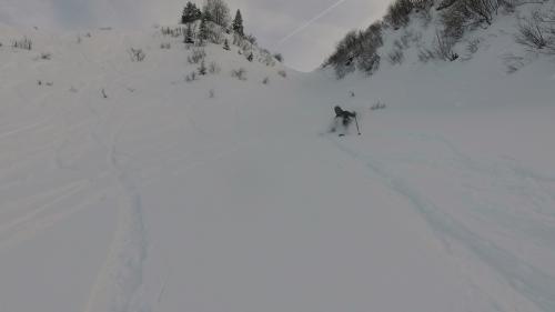 RUNS