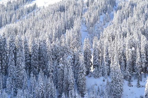 Two days of backcountry