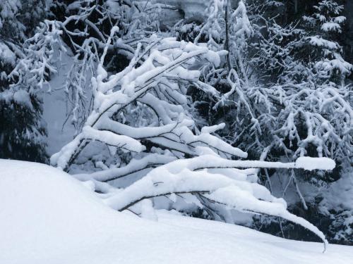 Winter never ends