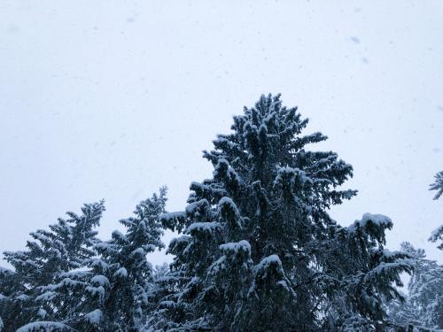 Winter never ends