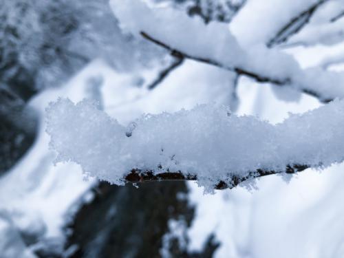 Winter never ends