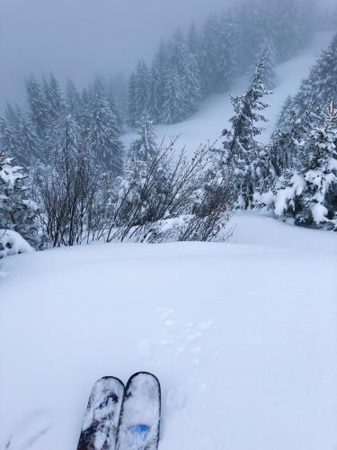 Winter never ends