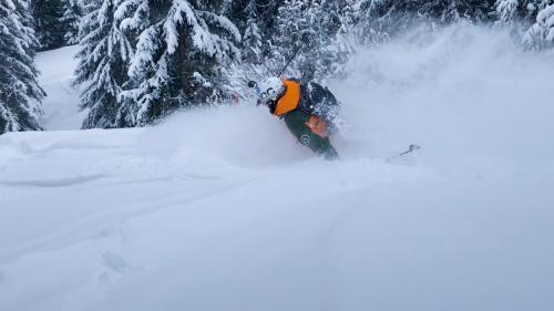 Winter never ends