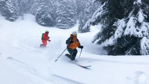 Winter never ends